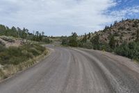 Off Road Track in Crested Butte: Immersed in Nature